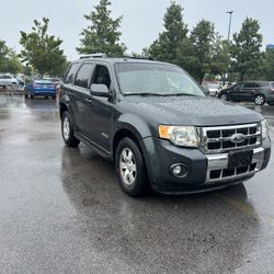 2009 Ford escape