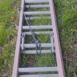 24 Ft Extension Ladder
