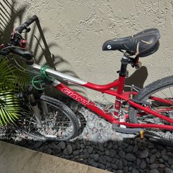 Giant bike 