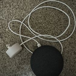 Google Home Mini