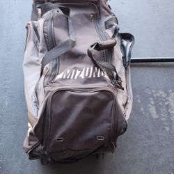 Baseball Bag