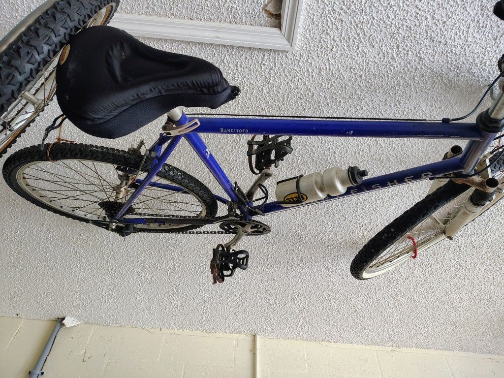 21 Speed Bike 