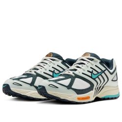 Nike Air Pegasus 2005 'Be The One' (Sz 11.5M)