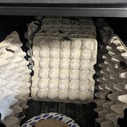 Exotic Pet Food Supply – Pickup Only