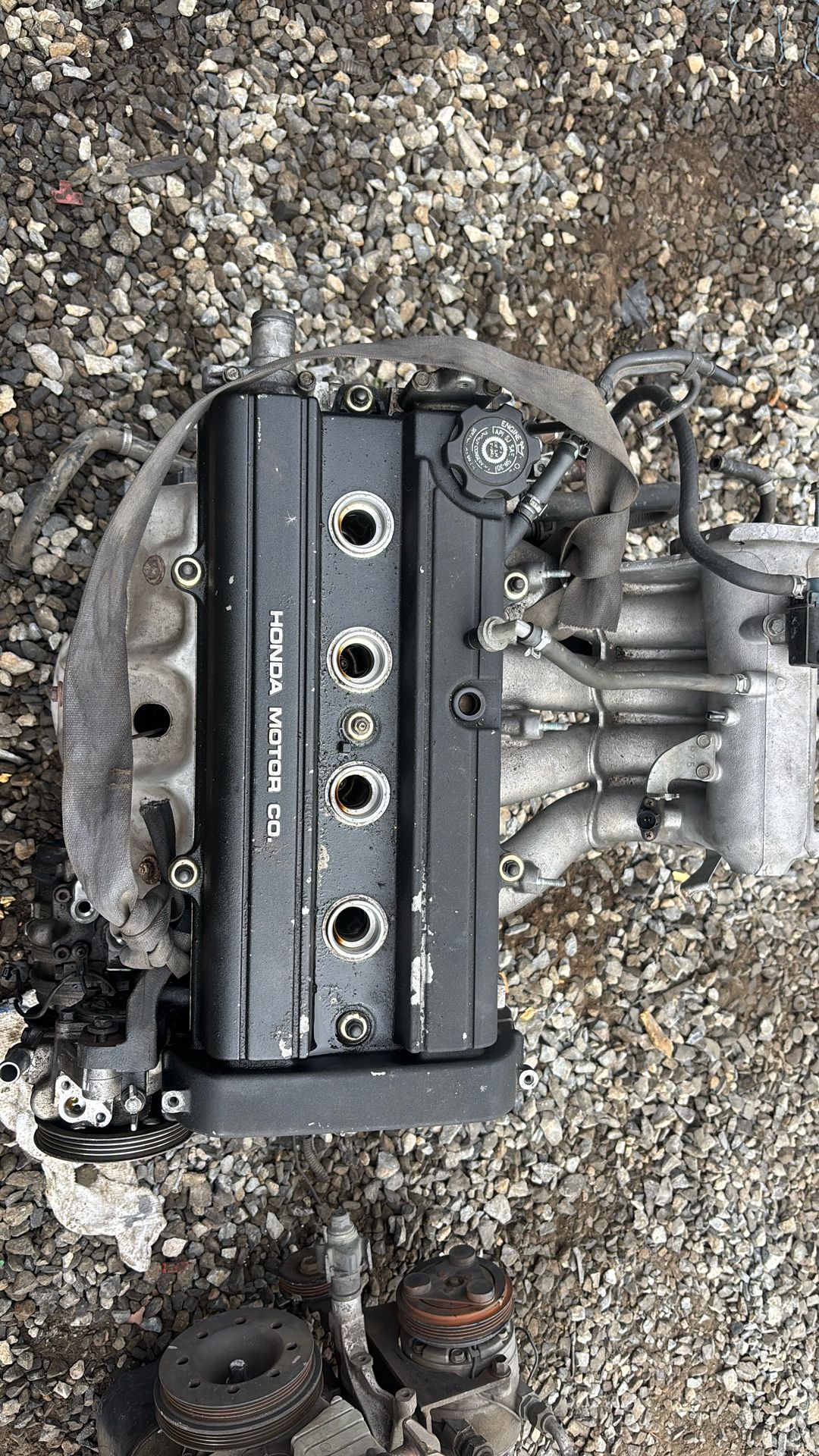 Acura Integra Ls Motor B18B1 1996 Part S