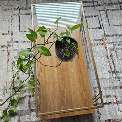 Tempered Glass Coffee Table