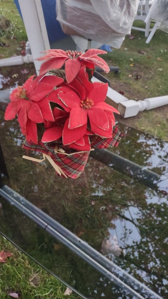 Cute Little Poinsettia Potted Flower (Artificial)