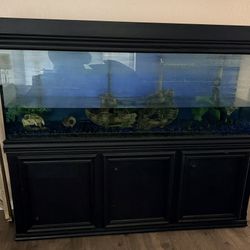 Fish tank
