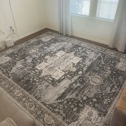8x10 Area Rug