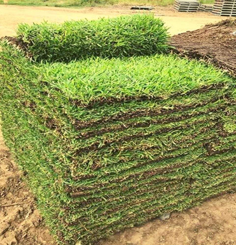 Pallets Of Grass (sod)