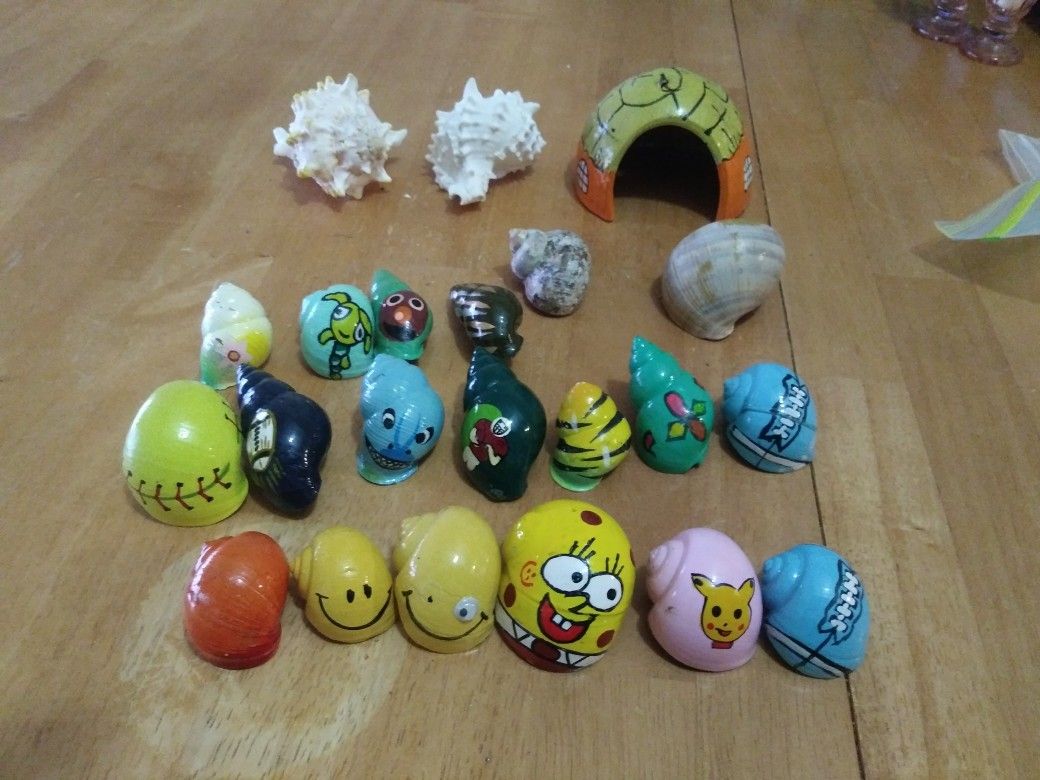 Painted Hermit Crab Shells