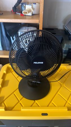 Fan