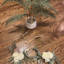 Plant And Flower Decor 
