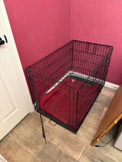 Dog Kennel