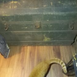 Antique Saratoga Trunk