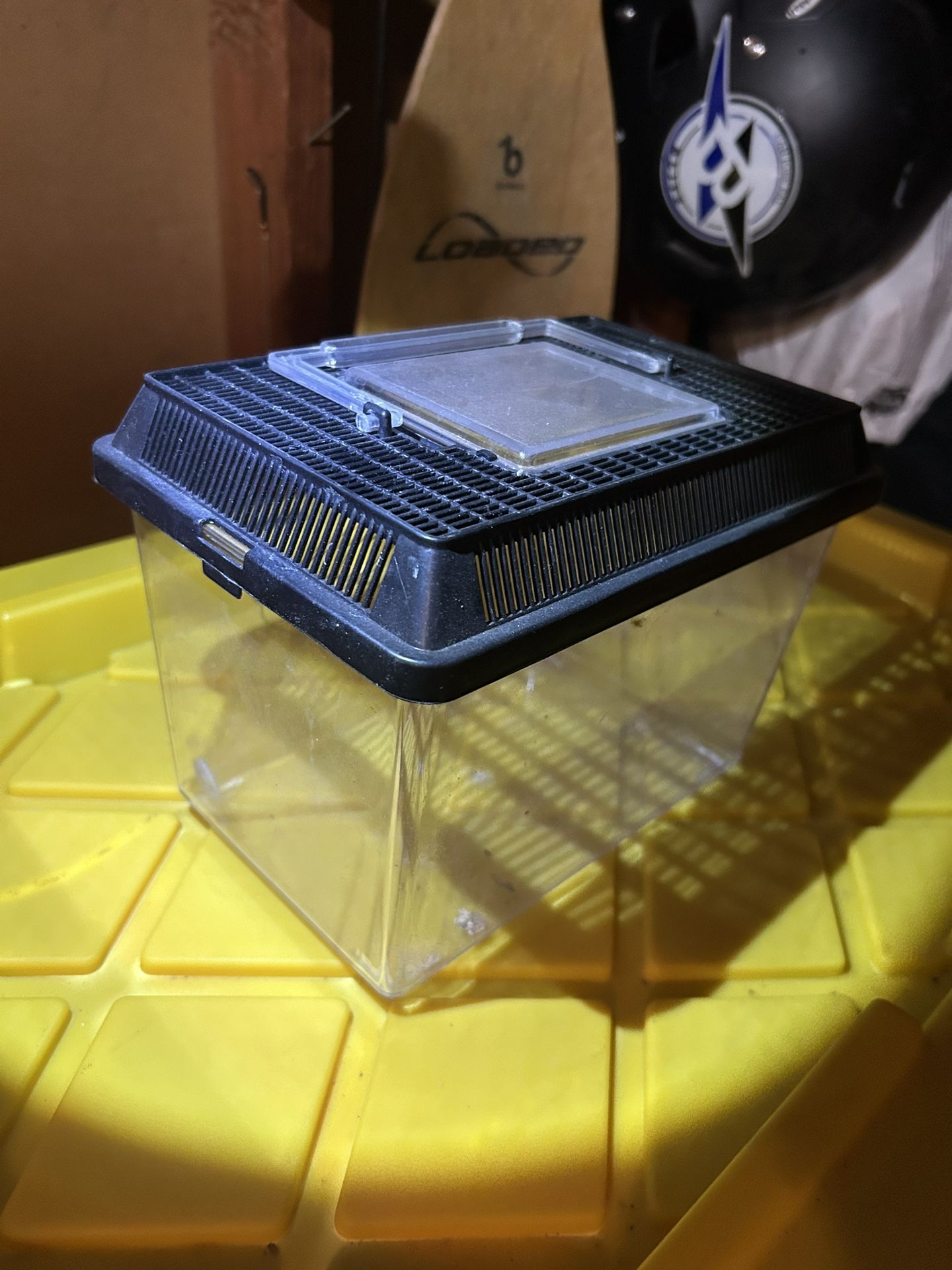 Small Reptile, Fish Container For Sale