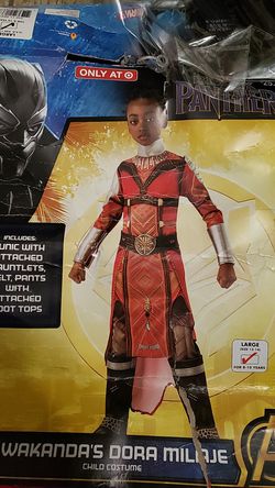 Black Panther girl's costume, brand new