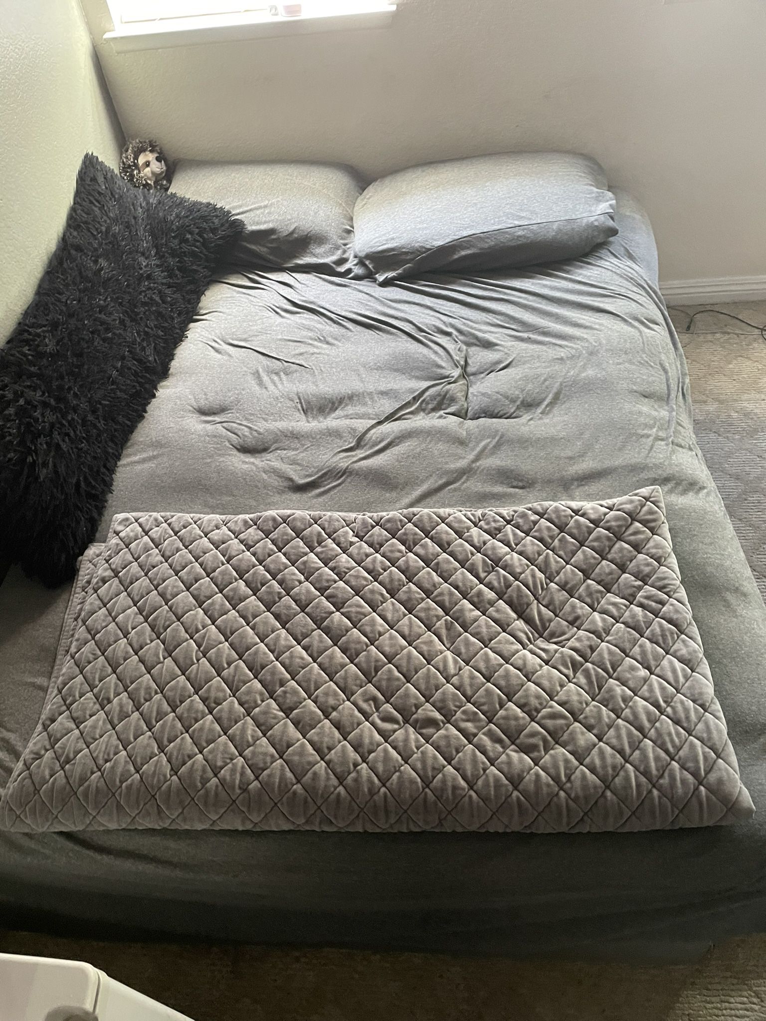 Free Full Size Bed & Box Spring