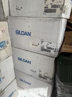Gildan 8000 T-Shirts Bulk Cases