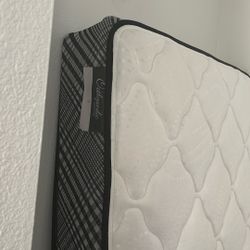 Twin Mattress 