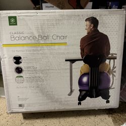 Balance Ball Chair 