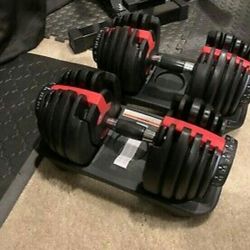 Adjustable Bowflex Dumbbells Set With Stand 