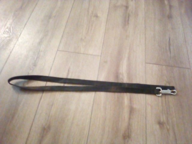 Dog Leash 