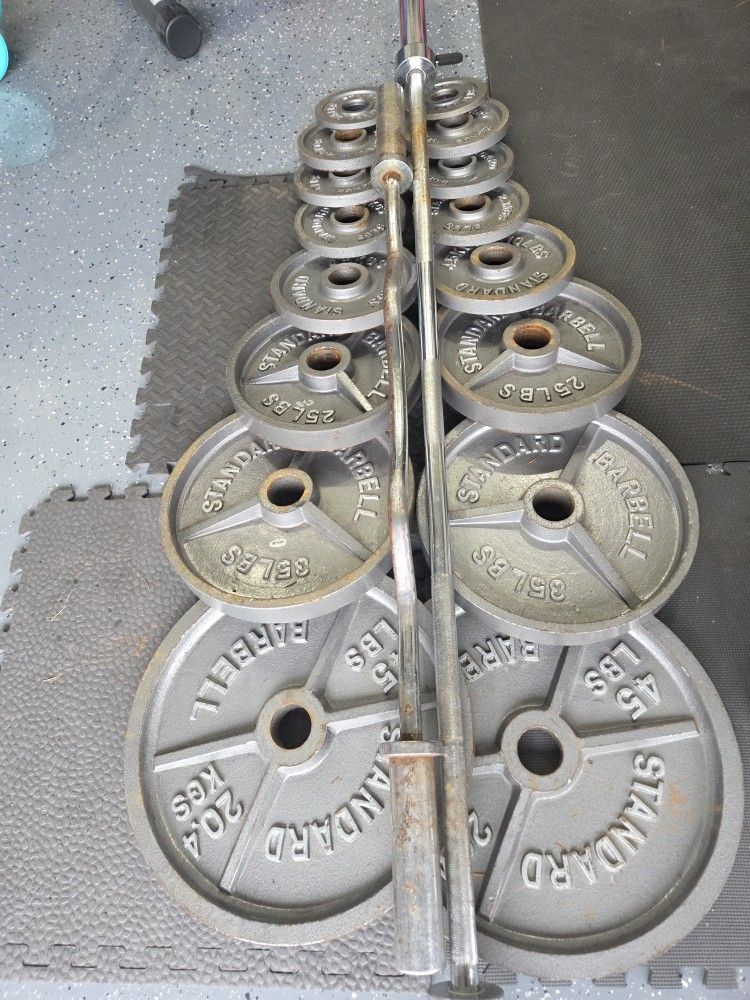 Olympic Size Weight Plates Weightlift Excercise Workout Bench Press Curl Barbell Bar