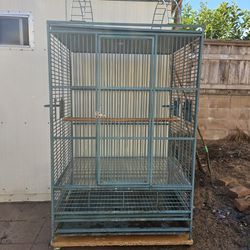 Bird Cages and Bird Tree
