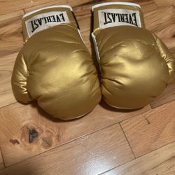 Everlast Punching Gloves 