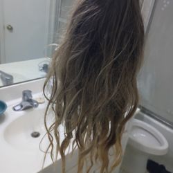 Brown And Blonde Wig