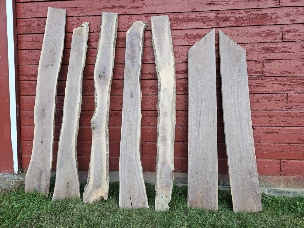 Live Edge Walnut, $75/board