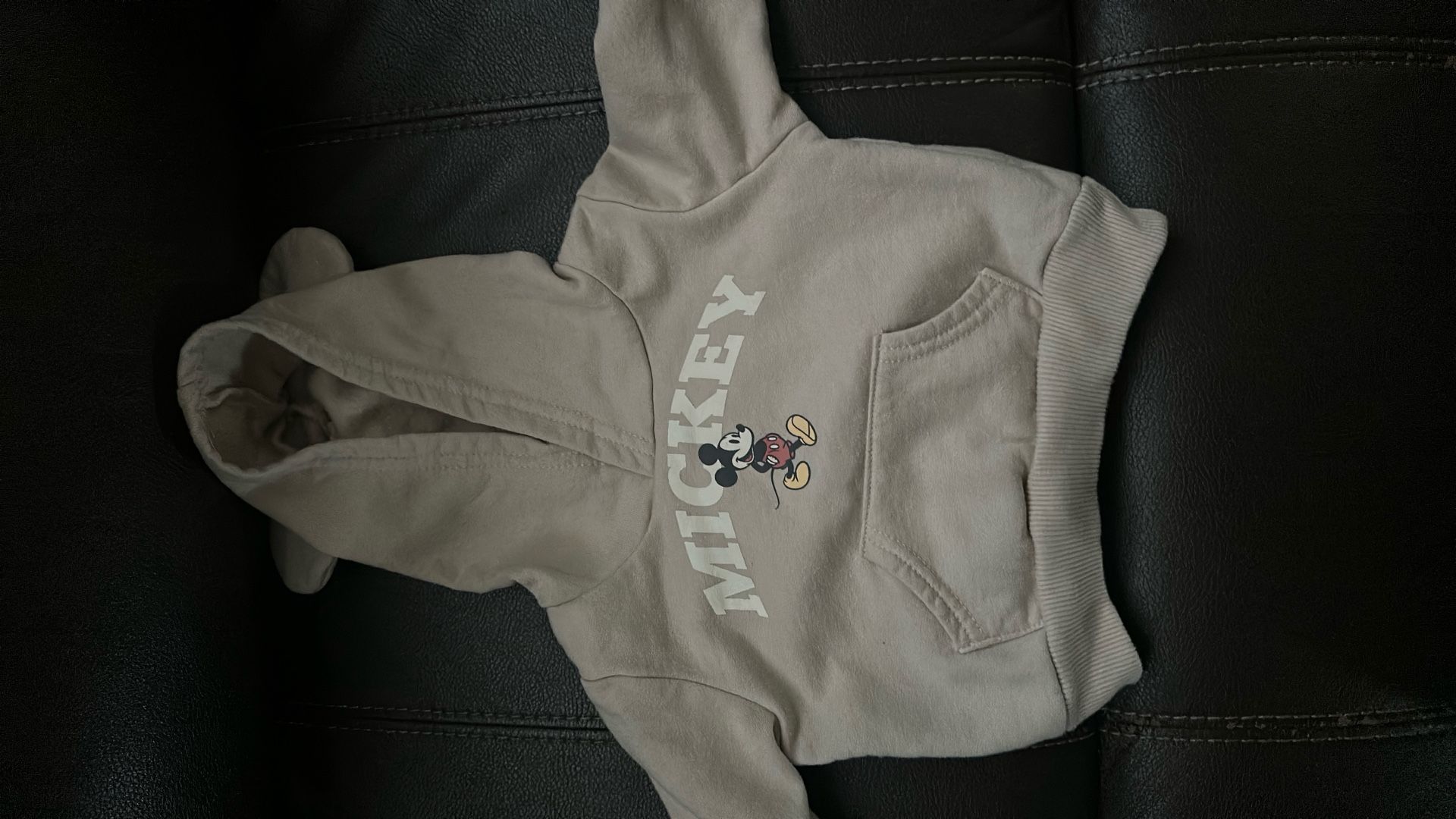 Mickey Mouse, Disneyland