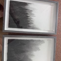 Smoky Forest Picture Set