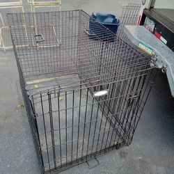 Large Dog Crates