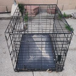 Dog Cage