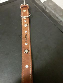 Dog collars