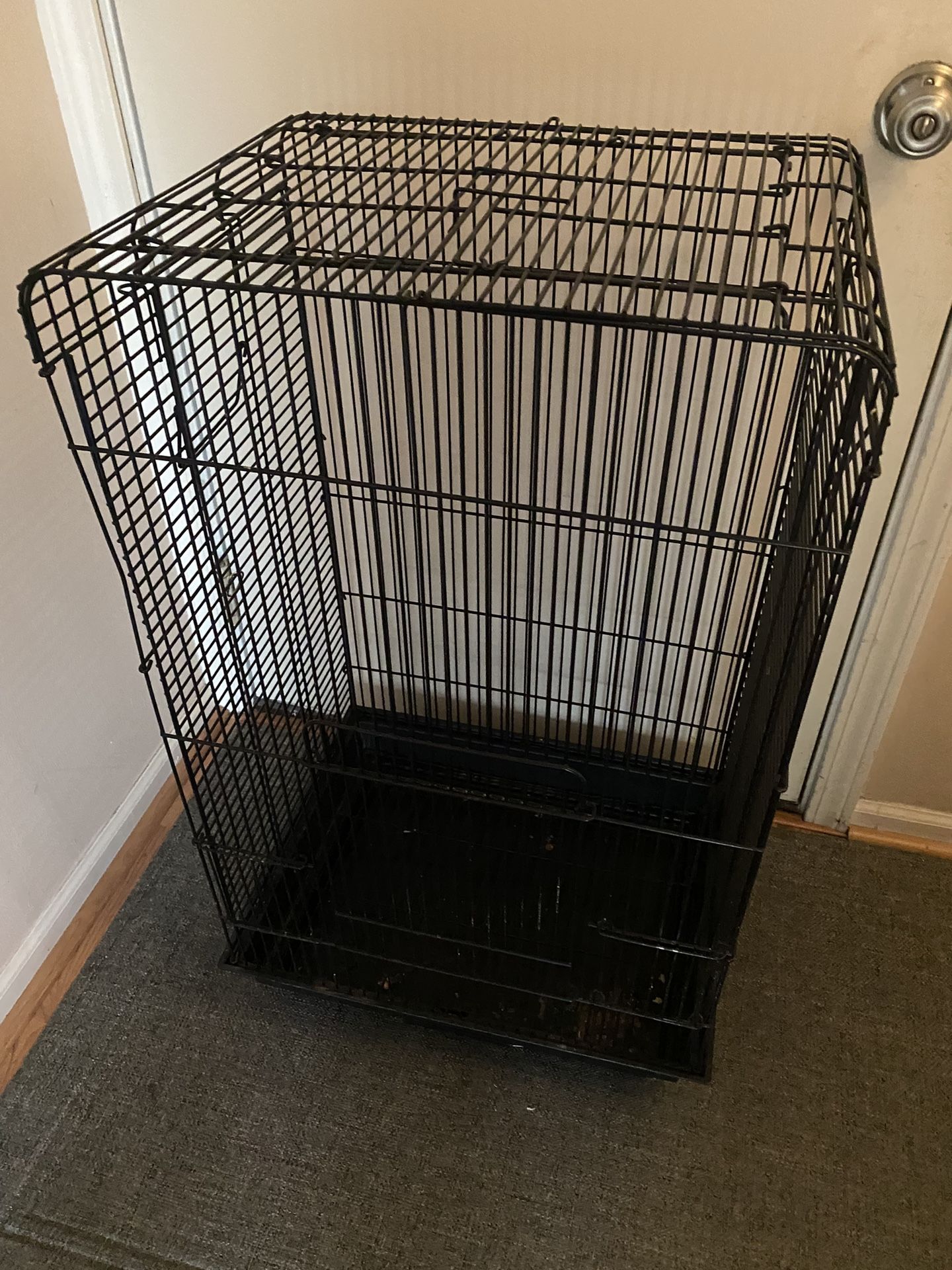 Metal Bird Cage