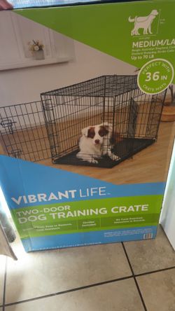 Dog kennel