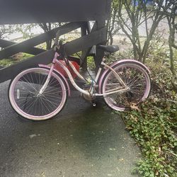 Free Beach Cruiser, Flat Tires And Rusty Chain