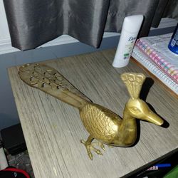 Brass Peacock 