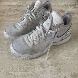 Lebron 20s 