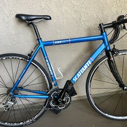 Scatante Road Bike 