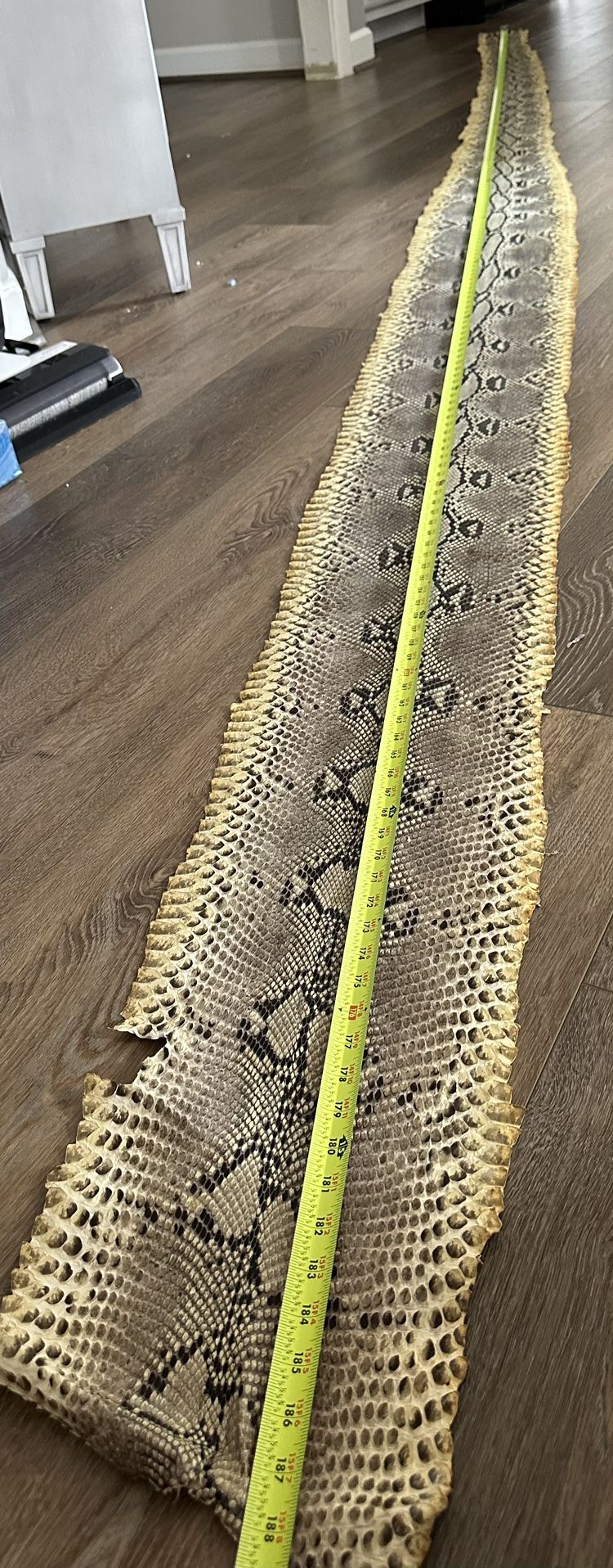 189 Inch Snake Skin