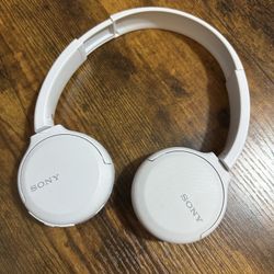 Sony Headphones 