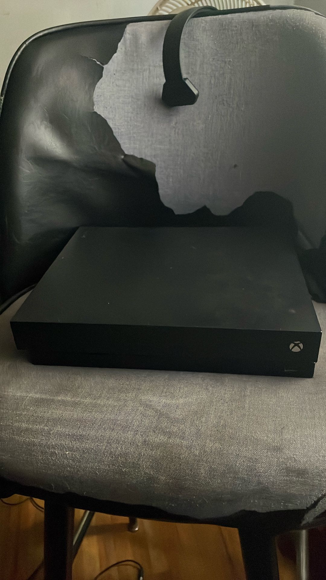 Xbox One X