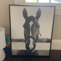 Horse Canvas