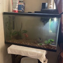 30Gallon Fish Tank(with Accessories)