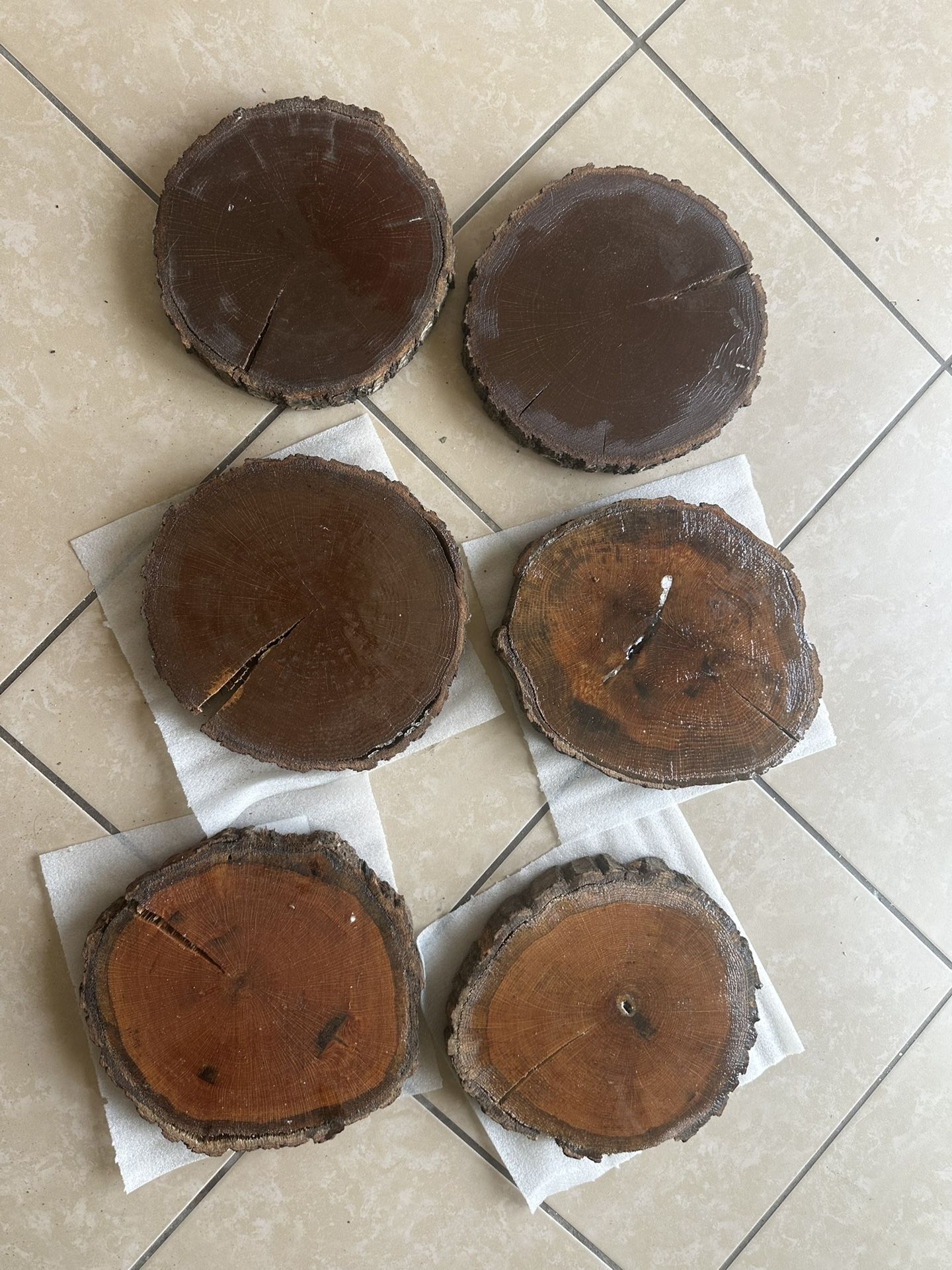 Resin and wood slices - Set of 6.