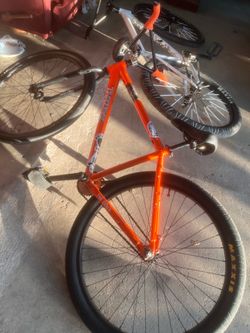 Orange Palm Frame trades